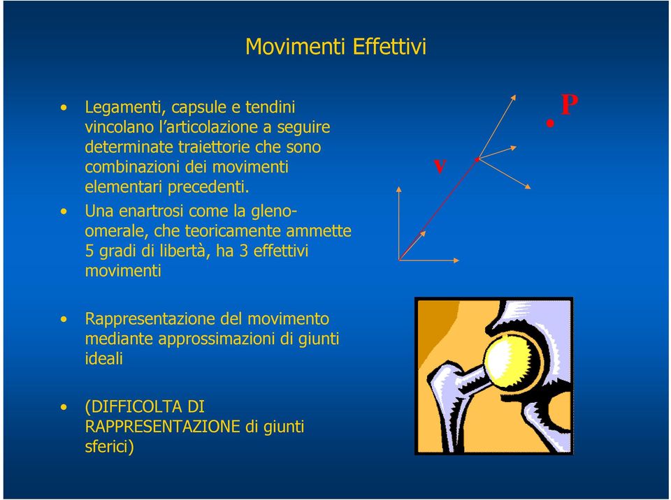Una enartrosi come la glenoomerale, che teoricamente ammette 5 gradi di libertà, ha 3 effettivi