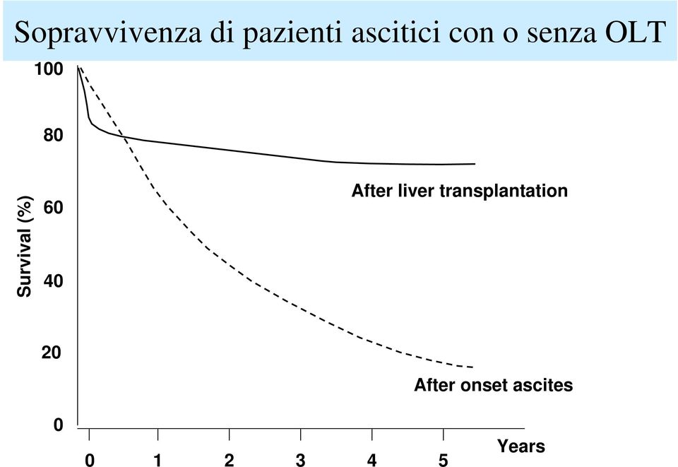 60 40 After liver transplantation 20