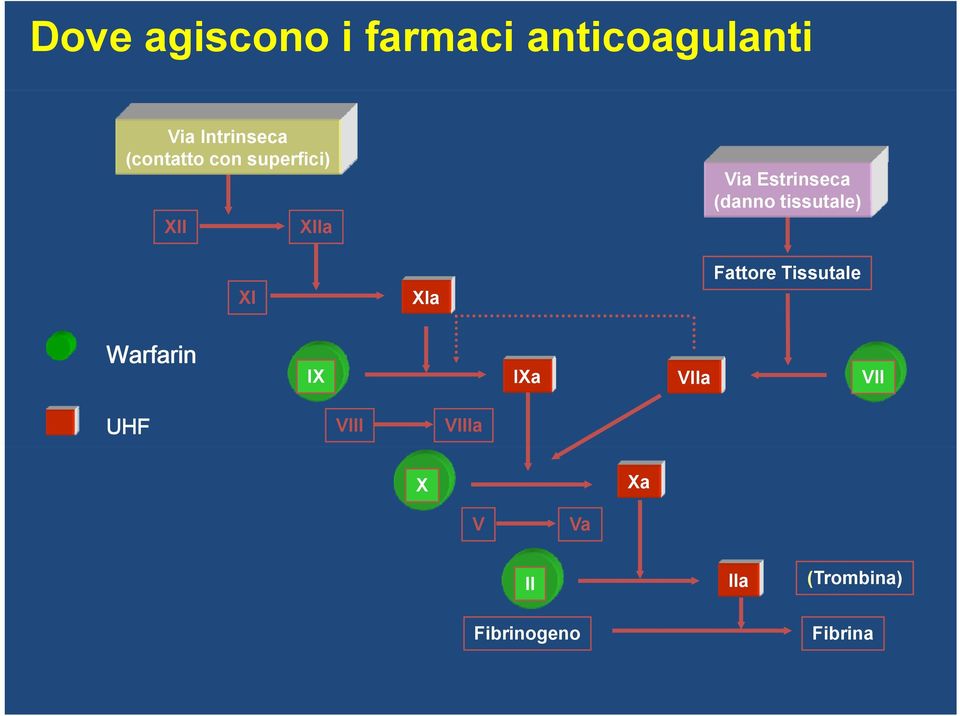 (danno tissutale) Fattore Tissutale Warfarin IX IXa VIIa