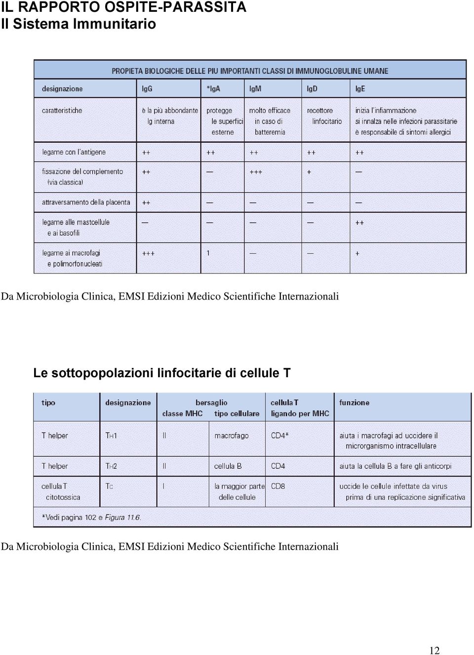 Sistema Immunitario Le