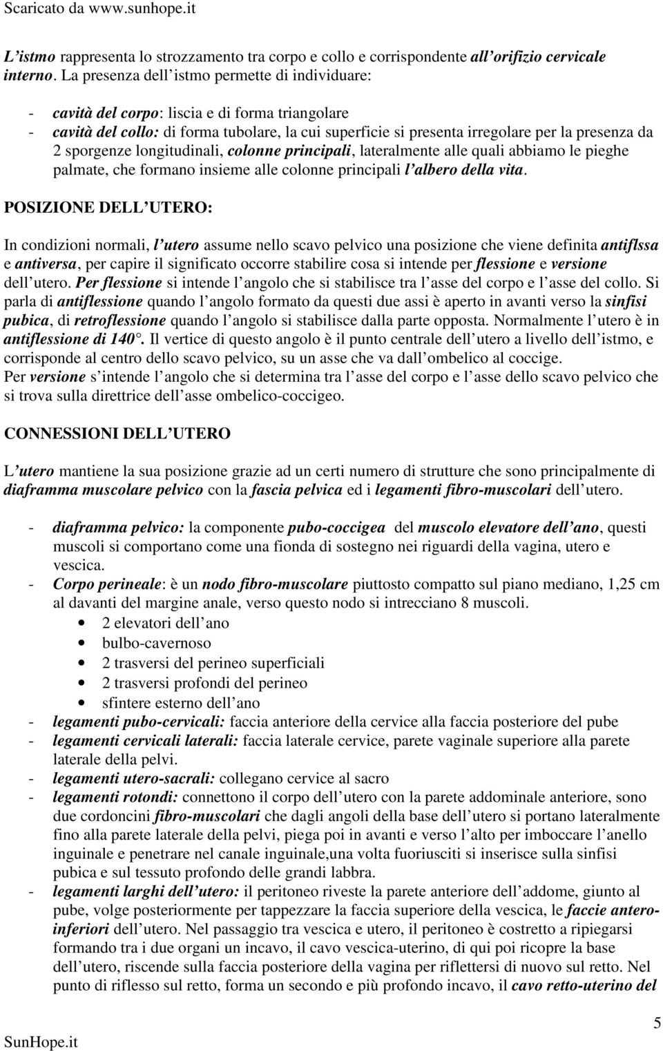 sporgenze longitudinali, colonne principali, lateralmente alle quali abbiamo le pieghe palmate, che formano insieme alle colonne principali l albero della vita.