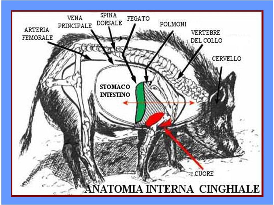 rinominato o eliminato.