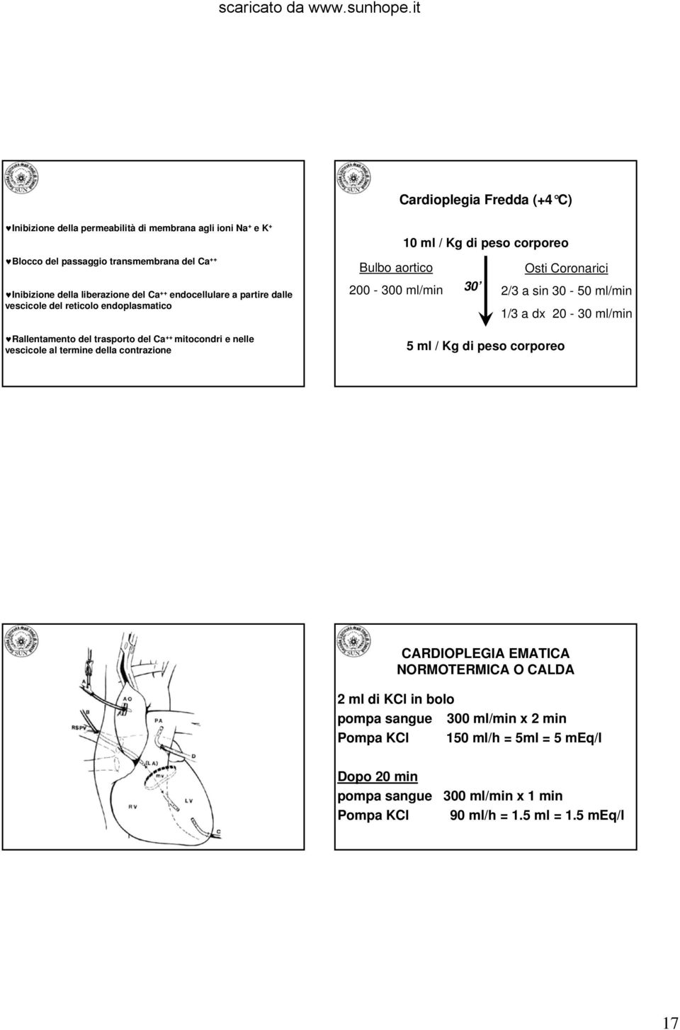 di peso corporeo Bulbo aortico 200-300 ml/min 30 Osti Coronarici 2/3 a sin 30-50 ml/min 1/3 a dx 20-30 ml/min 5 ml / Kg di peso corporeo CARDIOPLEGIA EMATICA NORMOTERMICA O