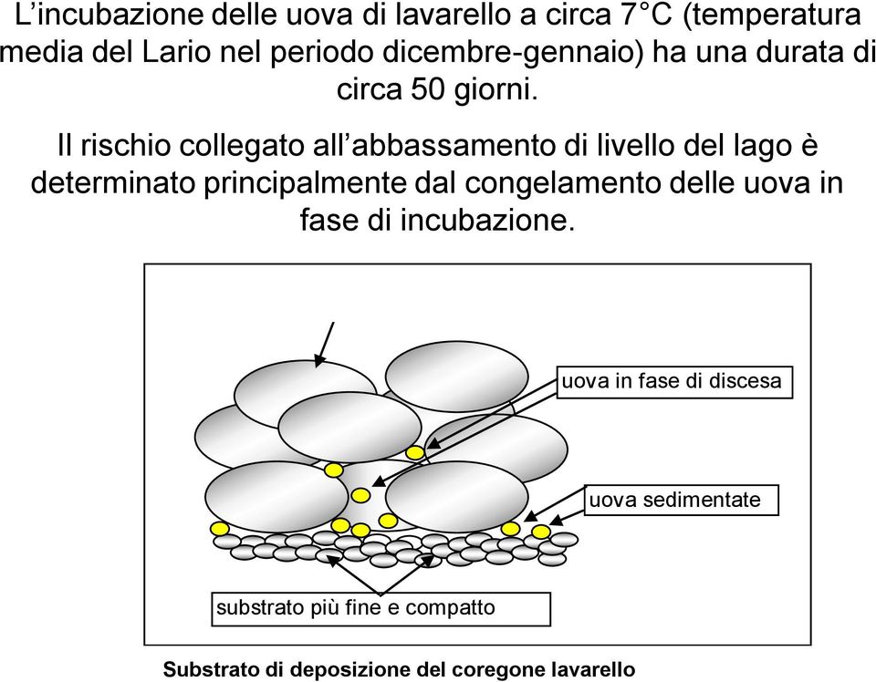 Il rischio collegato all abbassamento di livello del lago è determinato principalmente dal congelamento