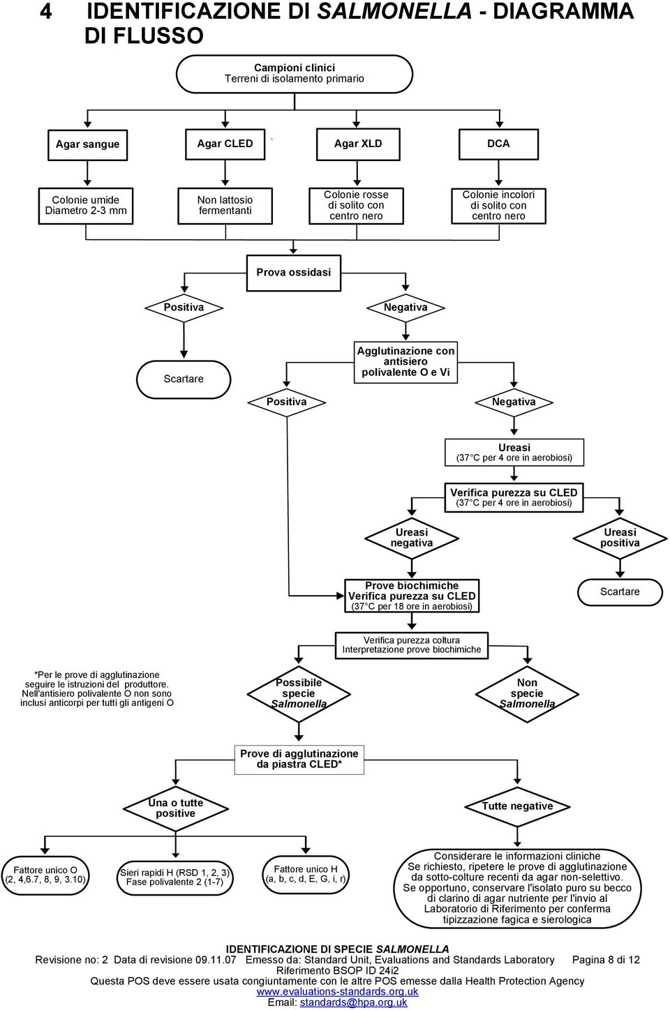 4 ore in aerobiosi) Verifica purezza su CLED (37 C per 4 ore in aerobiosi) Ureasi negativa Ureasi positiva Prove biochimiche Verifica purezza su CLED (37 C per 18 ore in aerobiosi) Scartare Verifica