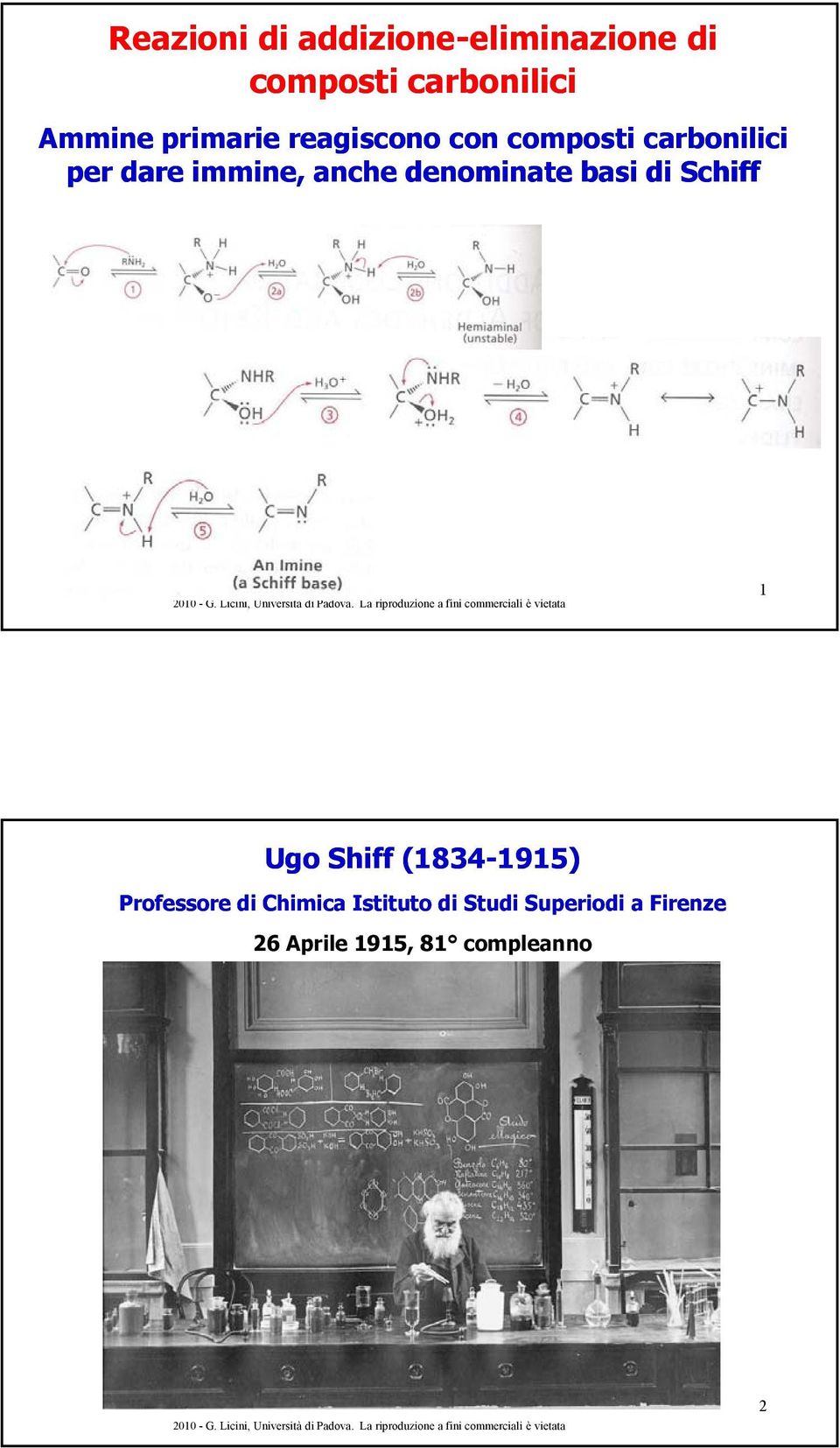 anche denominate basi di Schiff 1 Ugo Shiff (1834-1915) 1915) Professore