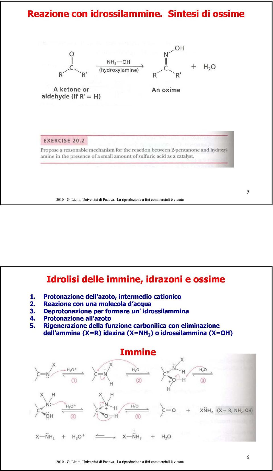 Deprotonazione per formare un idrossilammina 4. Protonazione all azoto 5.