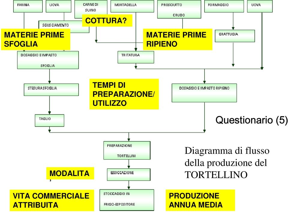 PREPARAZIONE/ UTILIZZO Questionario (5) MODALITA VITA