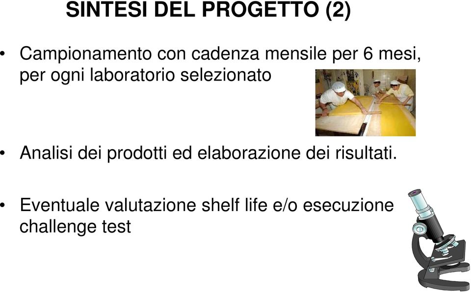 Analisi dei prodotti ed elaborazione dei risultati.