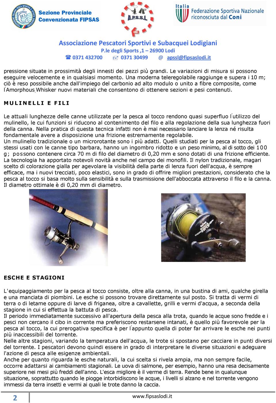 Whisker nuovi materiali che consentono di ottenere sezioni e pesi contenuti.