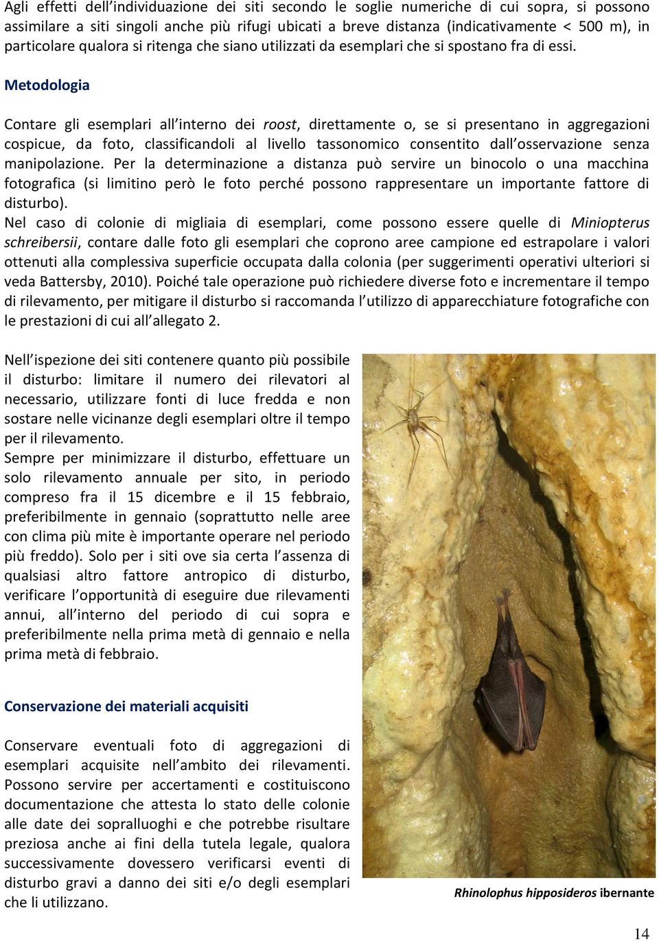 Metodologia Contare gli esemplari all interno dei roost, direttamente o, se si presentano in aggregazioni cospicue, da foto, classificandoli al livello tassonomico consentito dall osservazione senza