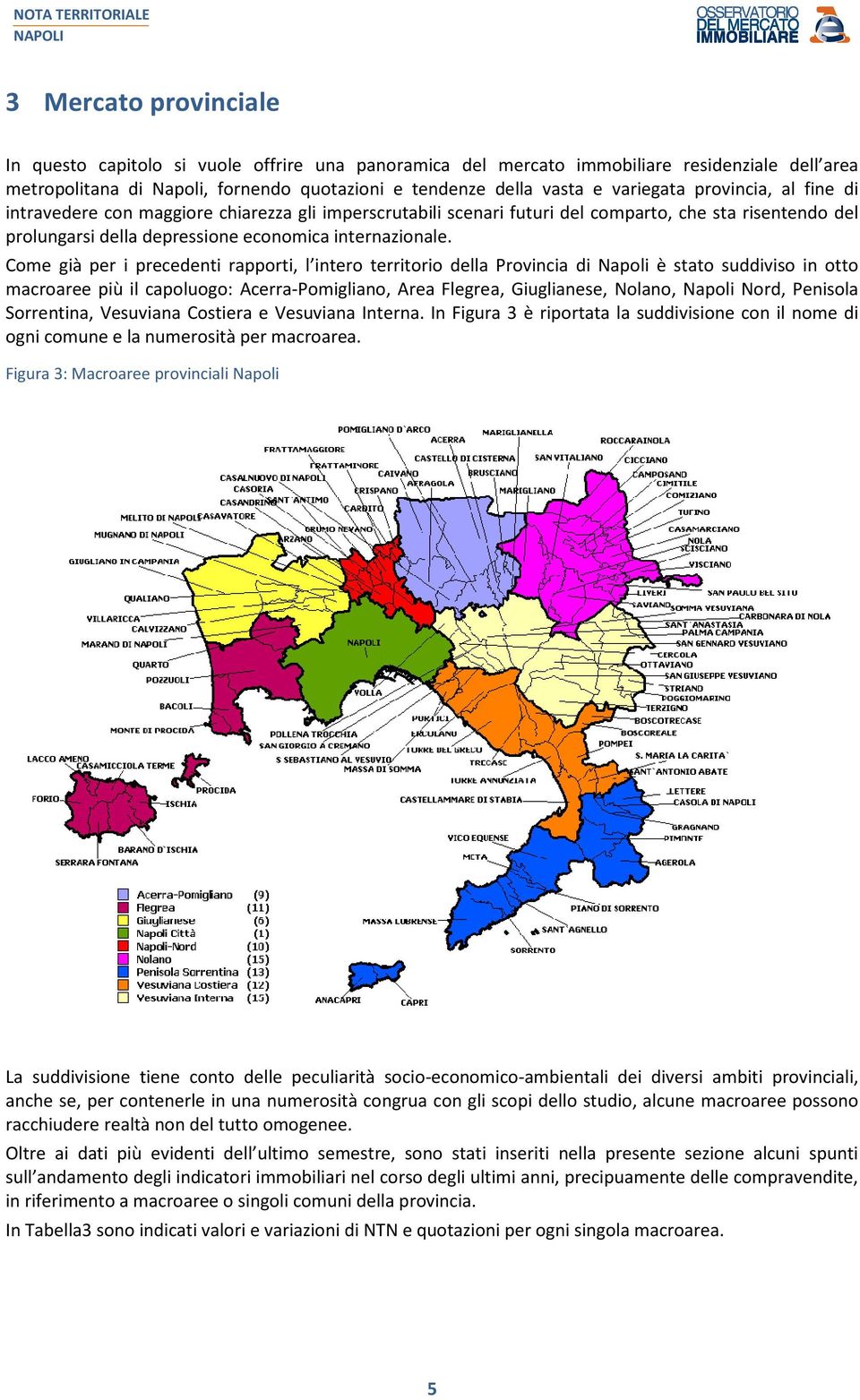Come già per i precedenti rapporti, l intero territorio della Provincia di Napoli è stato suddiviso in otto macroaree più il capoluogo: Acerra-Pomigliano, Area Flegrea, Giuglianese, Nolano, Napoli