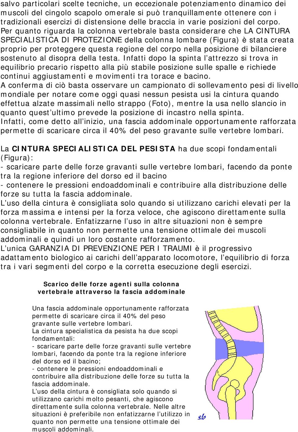 Per quanto riguarda la colonna vertebrale basta considerare che LA CINTURA SPECIALISTICA DI PROTEZIONE della colonna lombare (Figura) è stata creata proprio per proteggere questa regione del corpo