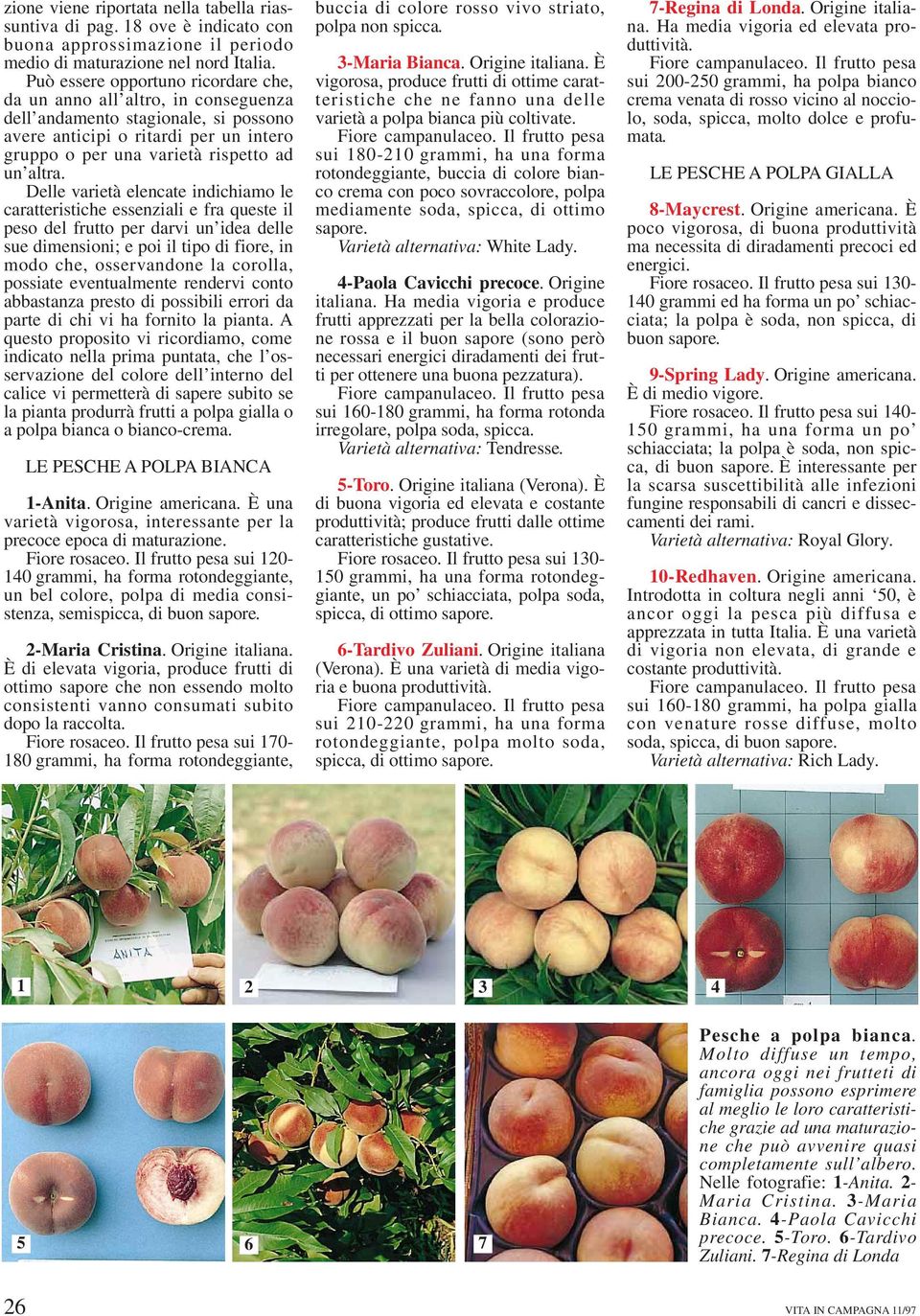 Delle varietà elencate indichiamo le caratteristiche essenziali e fra queste il peso del frutto per darvi un idea delle sue dimensioni; e poi il tipo di fiore, in modo che, osservandone la corolla,