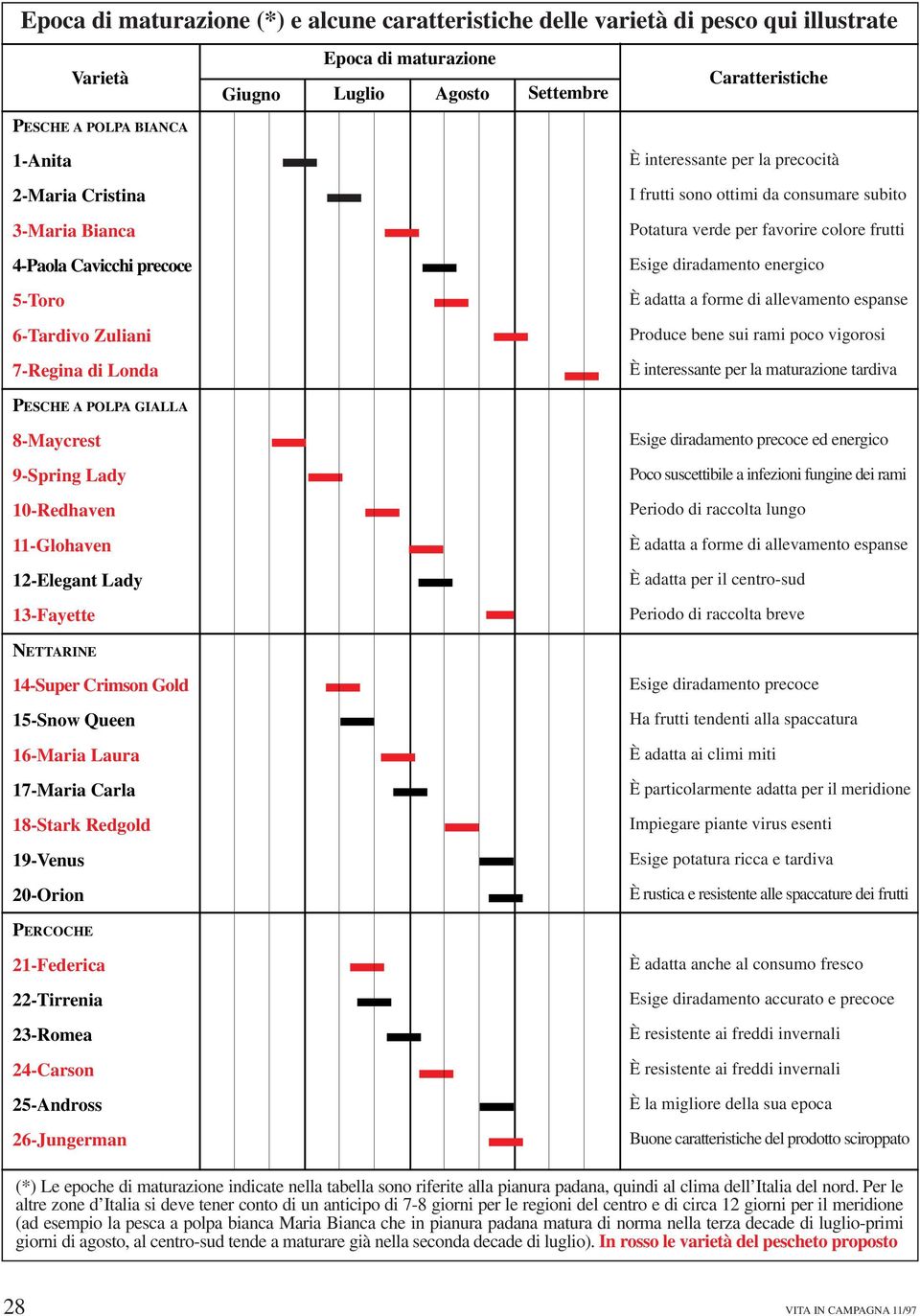 18-Stark Redgold 19-Venus 20-Orion PERCOCHE 21-Federica 22-Tirrenia 23-Romea 24-Carson 25-Andross 26-Jungerman Epoca di maturazione Giugno Luglio Agosto Settembre Caratteristiche È interessante per