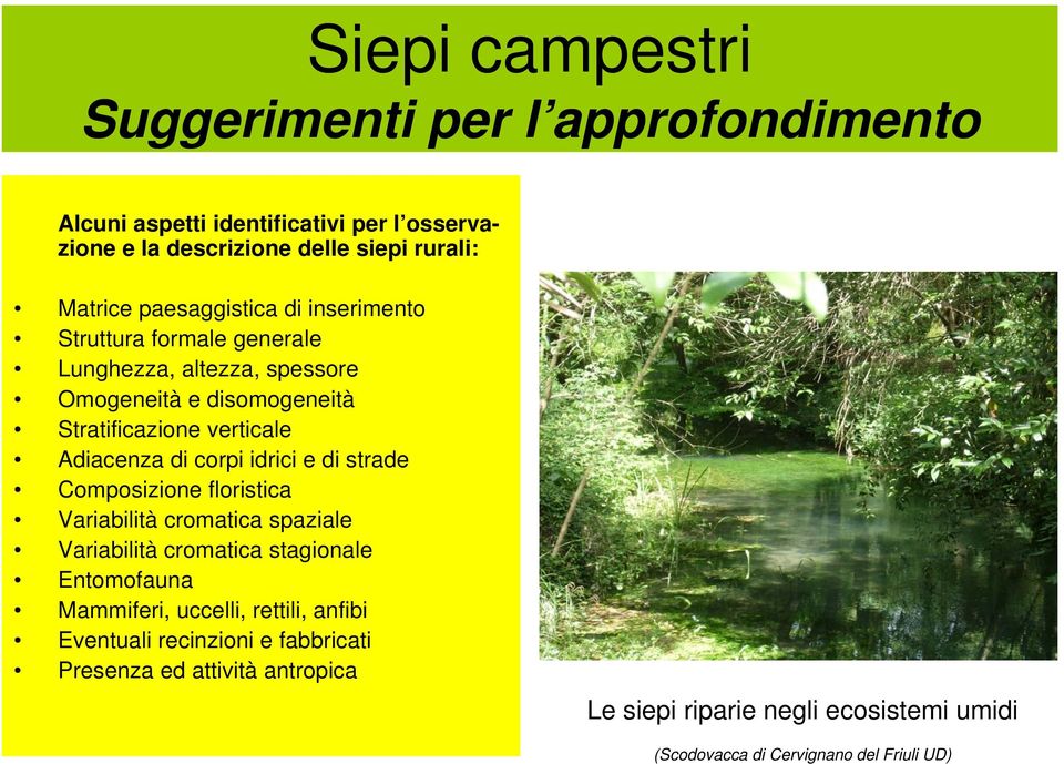 e di strade Composizione floristica Variabilità cromatica spaziale Variabilità cromatica stagionale Entomofauna Mammiferi, uccelli, rettili,