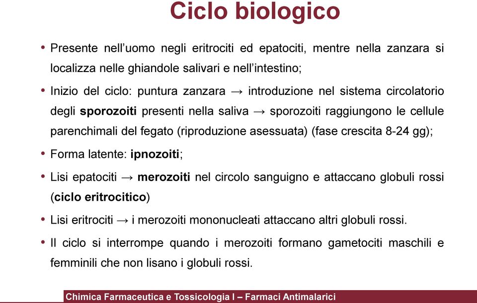 asessuata) (fase crescita 8-24 gg); Forma latente: ipnozoiti; Lisi epatociti merozoiti nel circolo sanguigno e attaccano globuli rossi (ciclo eritrocitico) Lisi