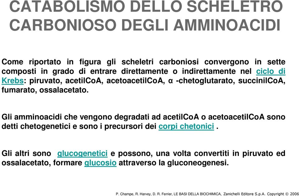 Gli amminoacidi che vengono degradati ad acetilcoa o acetoacetilcoa sono detti chetogenetici e sono i precursori dei corpi chetonici.