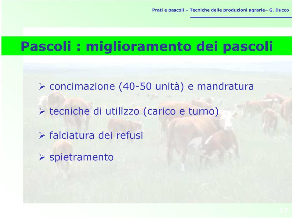 mandratura tecniche di utilizzo