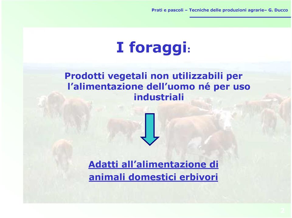 uomo né per uso industriali Adatti all