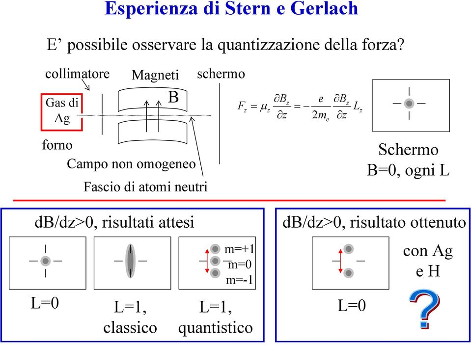 omogno Fascio di atomi nutri d/dz>0, risultati attsi L=0 L=1, classico m=+1