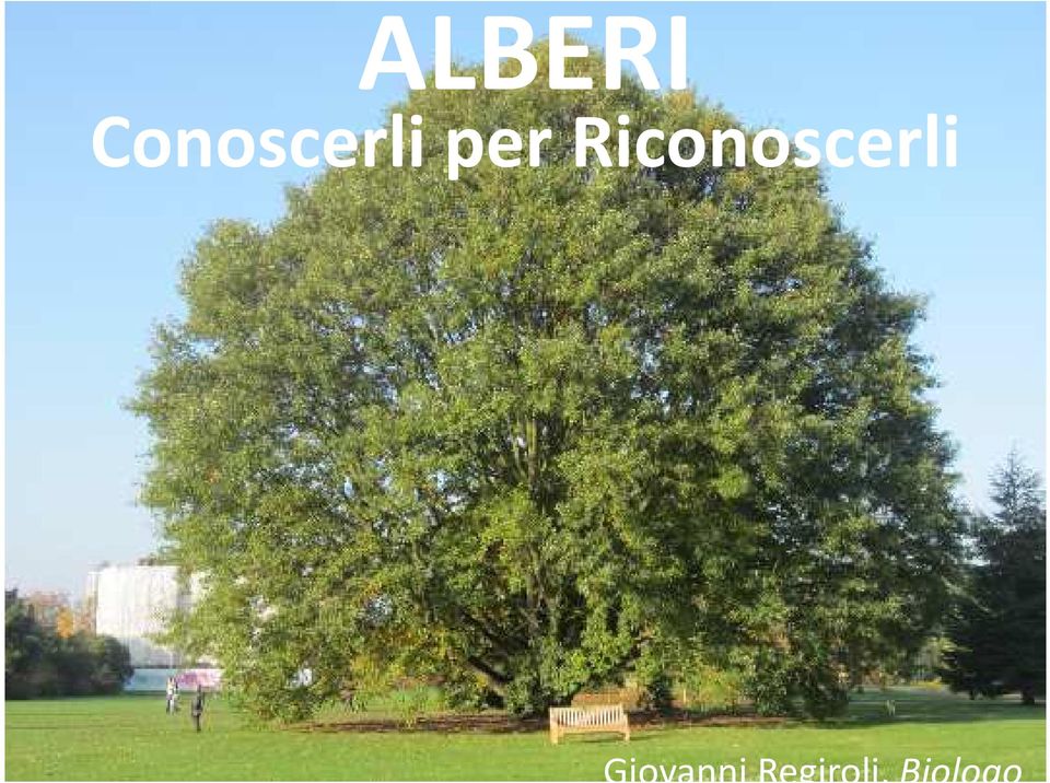 Riconoscerli