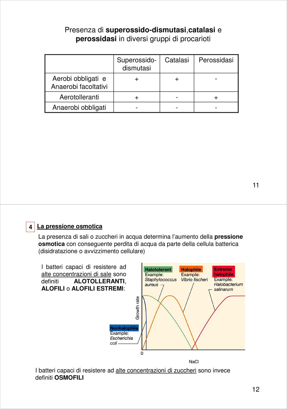 pressione osmotica con conseguente perdita di acqua da parte della cellula batterica (disidratazione o avvizzimento cellulare) I batteri capaci di resistere ad alte