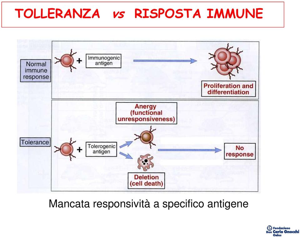 specifico antigene