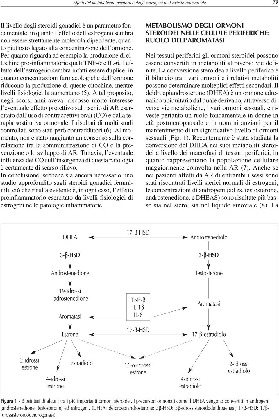 Per quanto riguarda ad esempio la produzione di citochine pro-infiammatorie quali TNF-α e IL-6, l effetto dell estrogeno sembra infatti essere duplice, in quanto concentrazioni farmacologiche dell