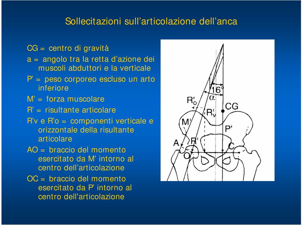 R v e R o = componenti verticale e orizzontale della risultante articolare AO = braccio del momento esercitato da