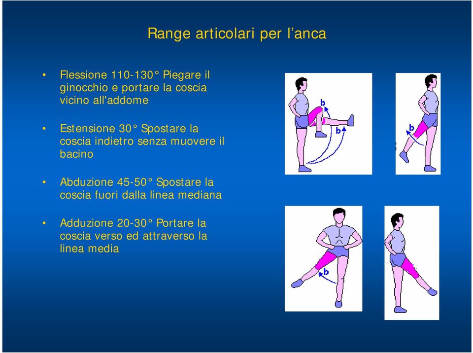 indietro senza muovere il bacino Abduzione 45-50 Spostare la coscia fuori