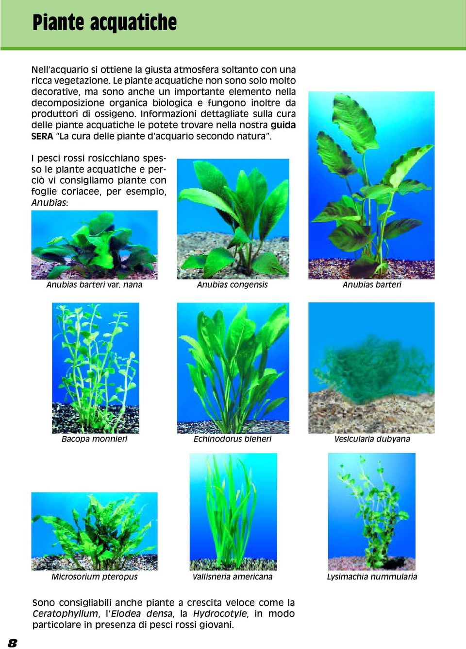 Informazioni dettagliate sulla cura delle piante acquatiche le potete trovare nella nostra guida SERA La cura delle piante d acquario secondo natura.
