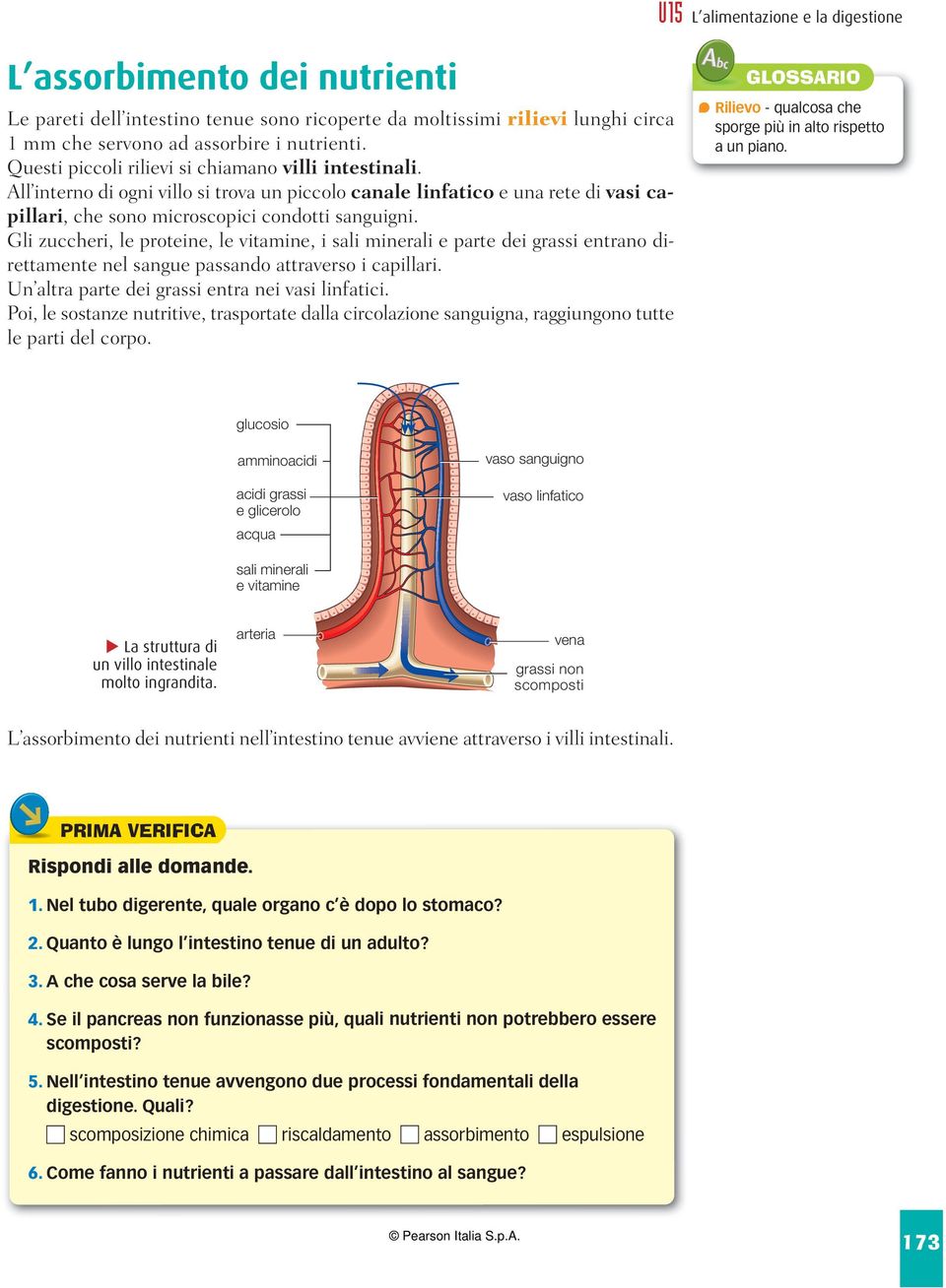 Gli zuccheri, le proteine, le vitamine, i sali minerali e parte dei grassi entrano direttamente nel sangue passando attraverso i capillari. Un altra parte dei grassi entra nei vasi linfatici.