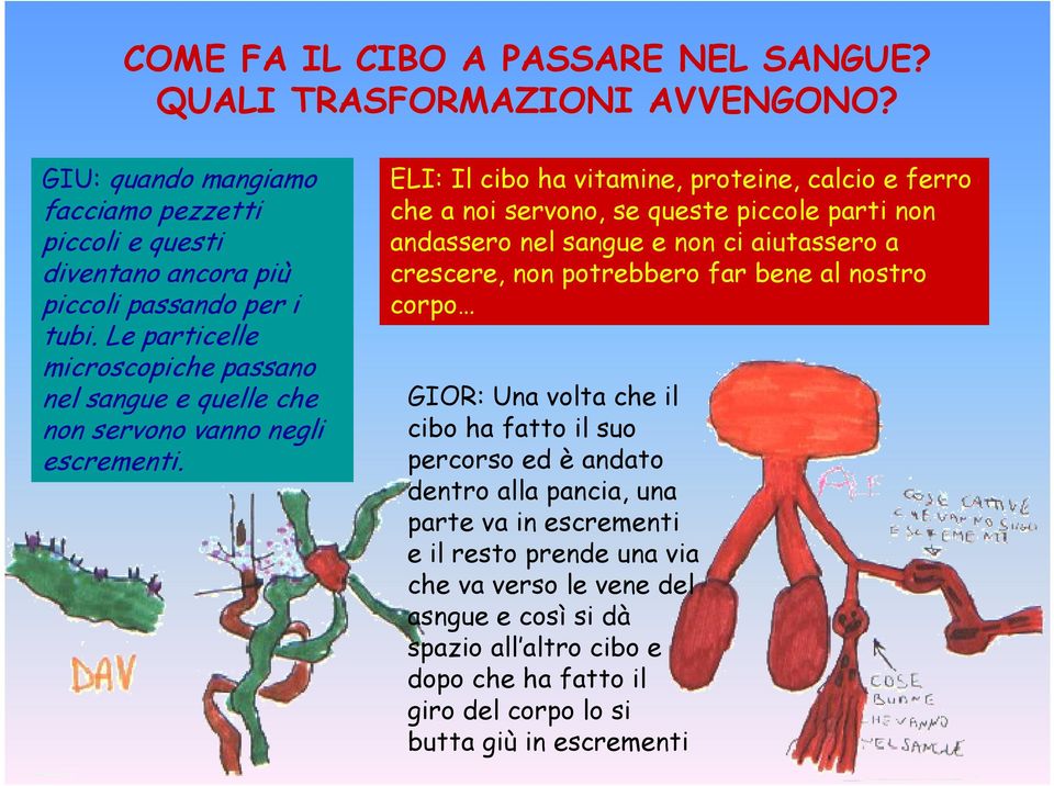 ELI: Il cibo ha vitamine, proteine, calcio e ferro che a noi servono, se queste piccole parti non andassero nel sangue e non ci aiutassero a crescere, non potrebbero far bene al