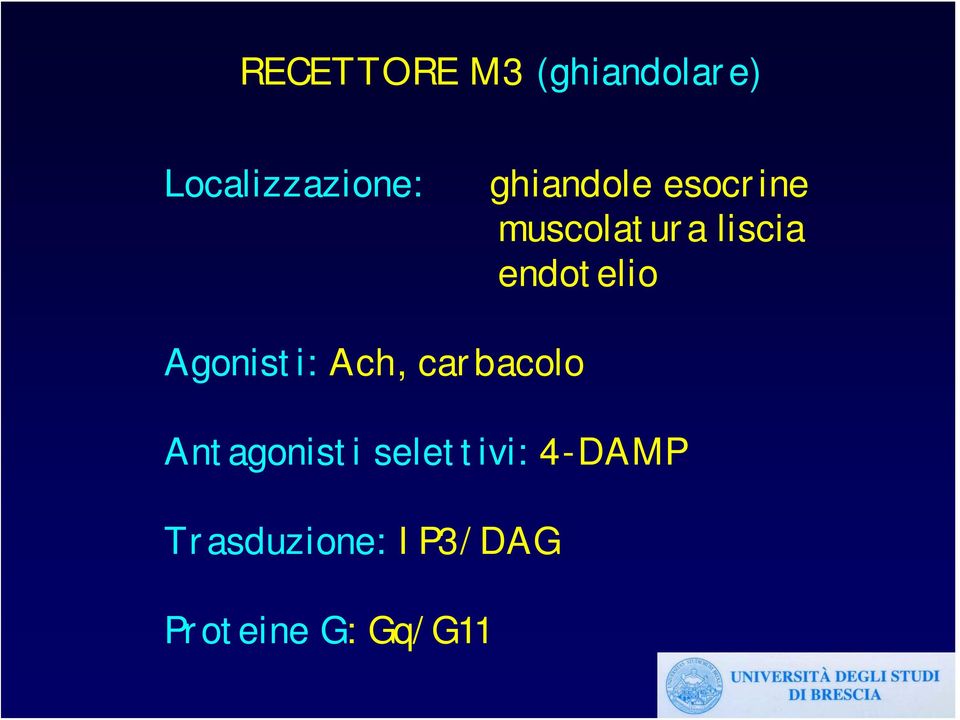 endotelio Agonisti: Ach, carbacolo Antagonisti