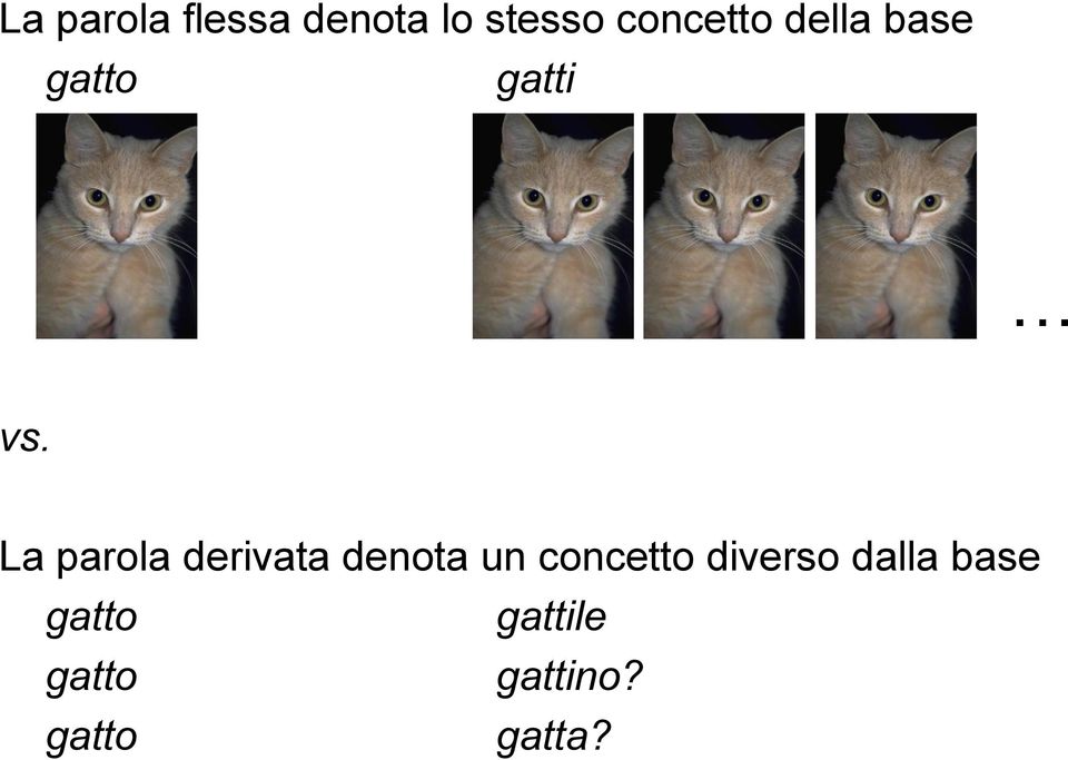 La parola derivata denota un concetto