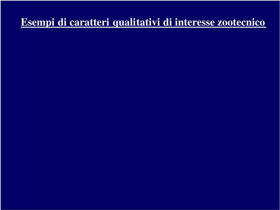 interesse zootecnico