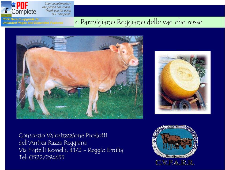 Prodotti dell'antica Razza Reggiana Via