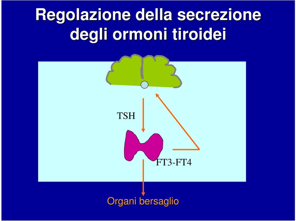 ormoni tiroidei TSH