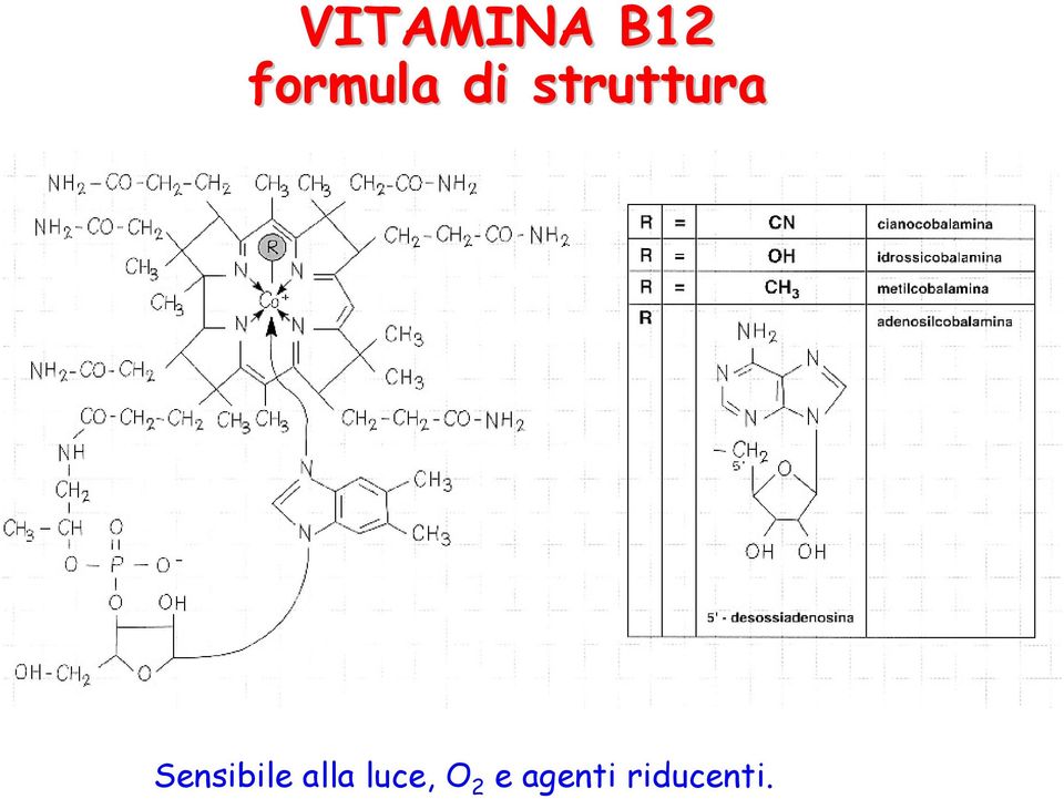 struttura Sensibile