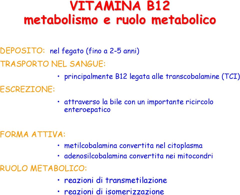 importante ricircolo enteroepatico FORMA ATTIVA: metilcobalamina convertita nel citoplasma