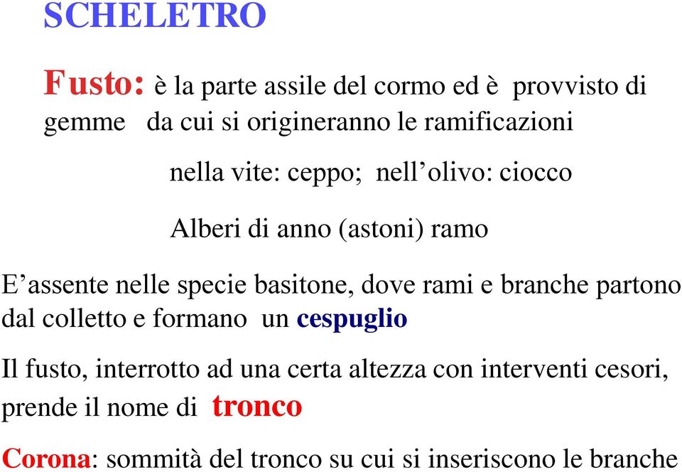 basitone, dove rami e branche partono dal colletto e formano un cespuglio Il fusto, interrotto ad una