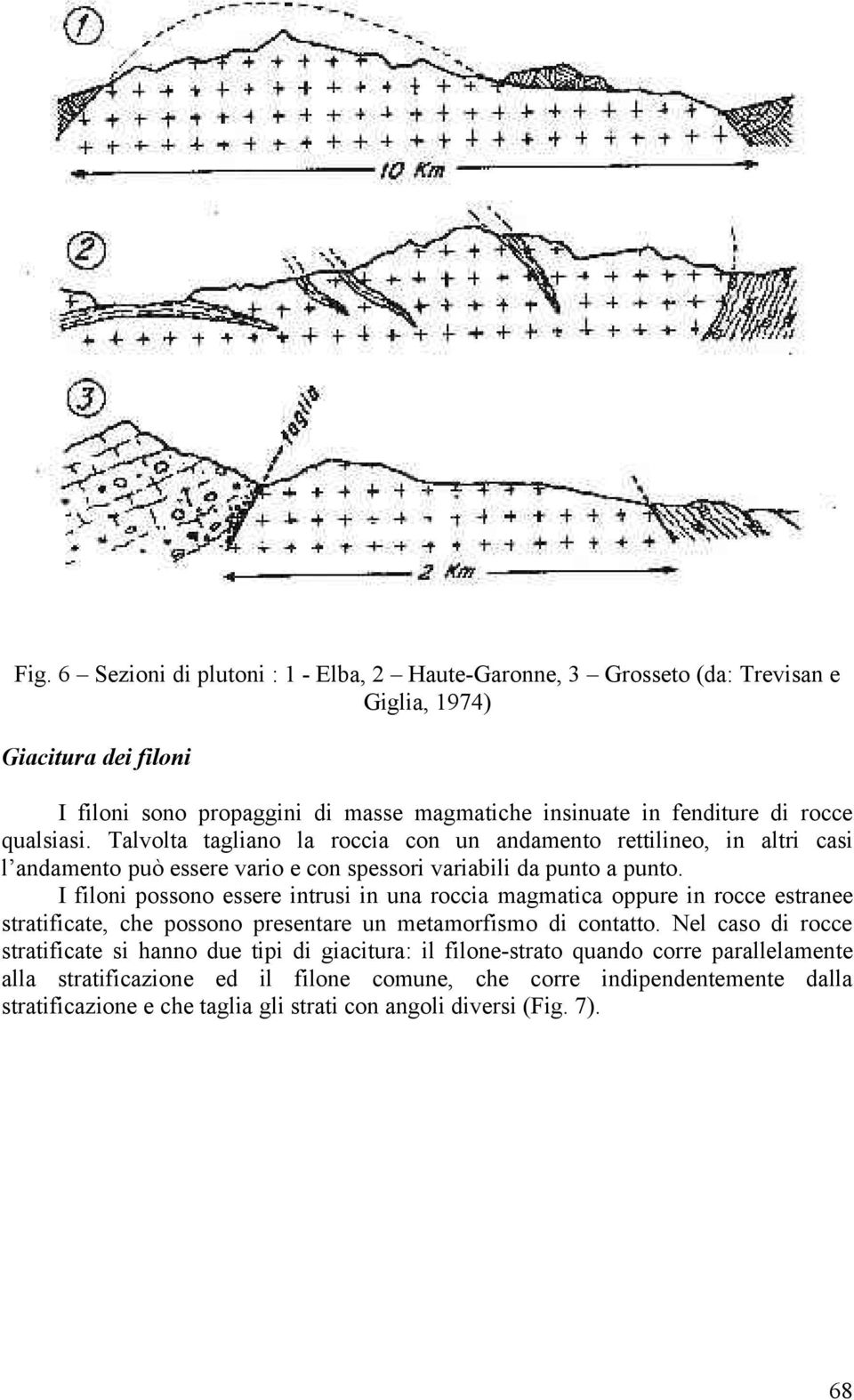 I filoni possono essere intrusi in una roccia magmatica oppure in rocce estranee stratificate, che possono presentare un metamorfismo di contatto.