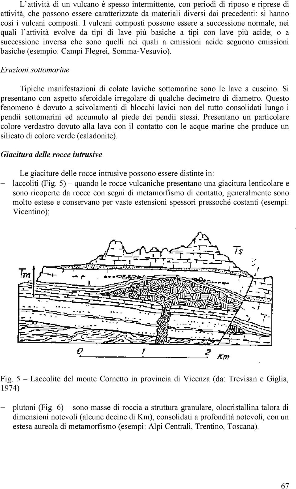 emissioni acide seguono emissioni basiche (esempio: Campi Flegrei, Somma-Vesuvio). Eruzioni sottomarine Tipiche manifestazioni di colate laviche sottomarine sono le lave a cuscino.