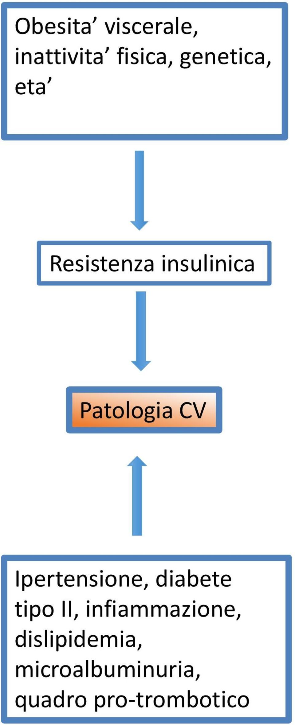 CV Ipertensione, diabete tipo II,