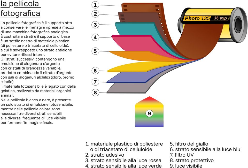 Gli strati successivi contengono una emulsione di alogenuro d'argento con cristalli di grandezza variabile, prodotto combinando il nitrato d argento con sali di alogenuri alchilici (cloro, bromo e