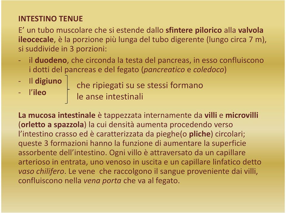 intestinali La mucosa intestinale è tappezzata internamente da villie microvilli (orletto a spazzola) la cui densità aumenta procedendo verso l intestino crasso ed è caratterizzata da pieghe(o