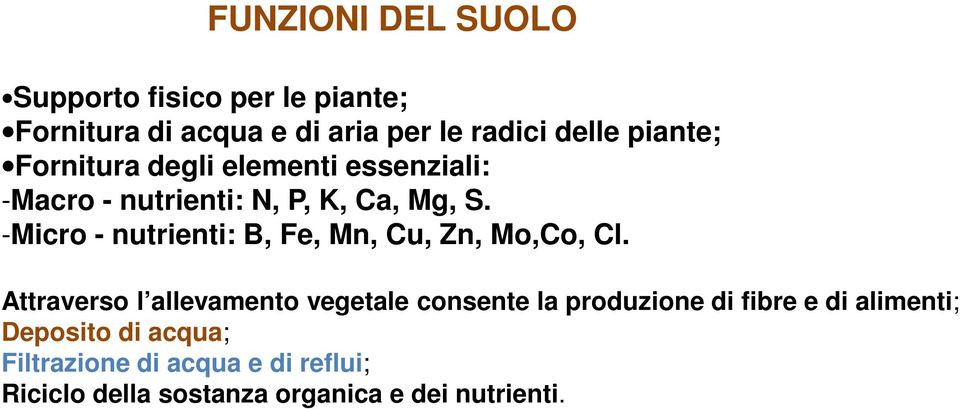 -Micro - nutrienti: B, Fe, Mn, Cu, Zn, Mo,Co, Cl.