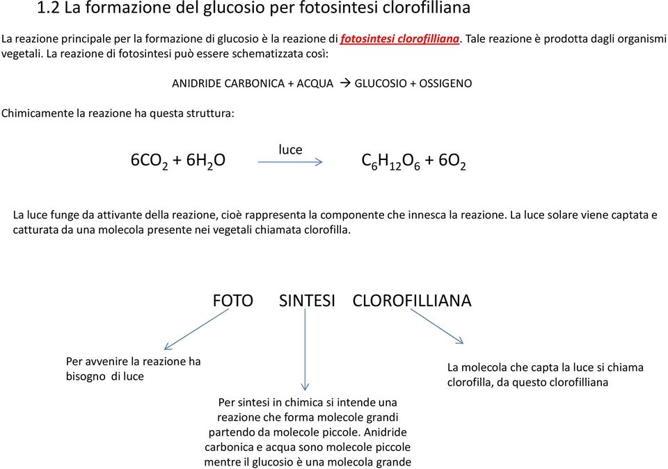 La reazione di fotosintesi può essere schematizzata così: Chimicamente la reazione ha questa struttura: ANIDRIDE CARBONICA + ACQUA GLUCOSIO + OSSIGENO luce 6CO 2 + 6H 2 O C 6 H 12 O 6 + 6O 2 La luce