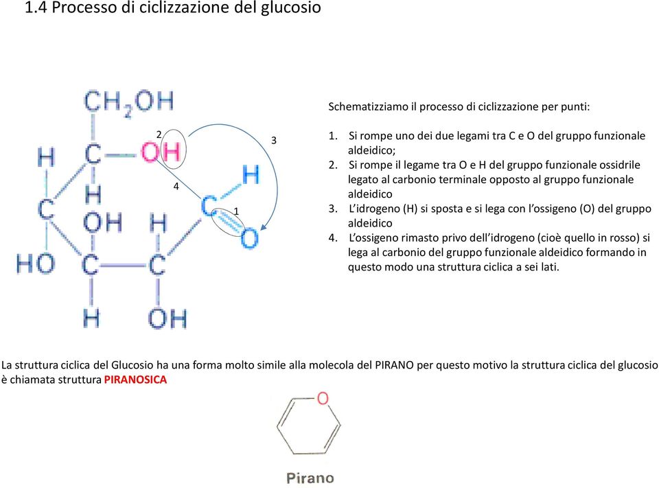 L idrogeno (H) si sposta e si lega con l ossigeno (O) del gruppo aldeidico 4.